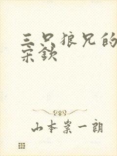 三只狼兄的宠妻宋钦