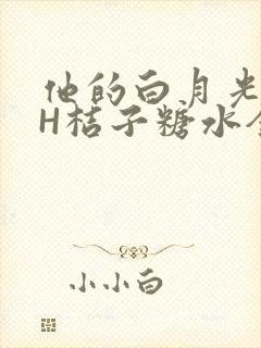 他的白月光HVH桔子糖水全文
