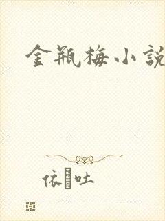 金瓶梅小说下载封面