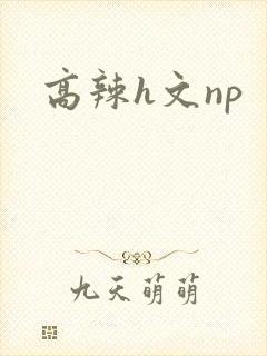 高辣h文np