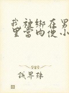 我被绑在男公厕里当肉便小说封面