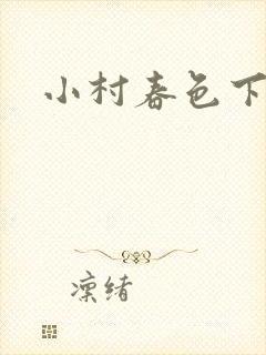 小村春色下载