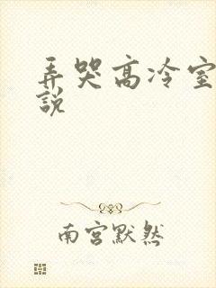 弄哭高冷室友小说
