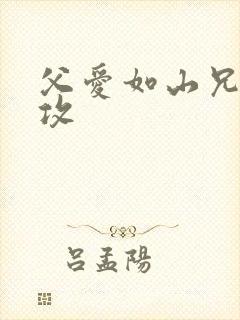 父爱如山兄有弟攻封面
