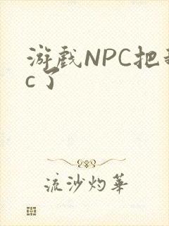 游戏NPC把我c了