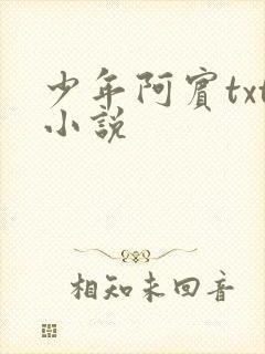 少年阿宾txt小说