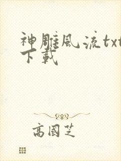 神雕风流txt下载