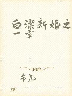 白洁新婚之夜第一章