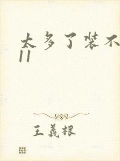 太多了装不下H11