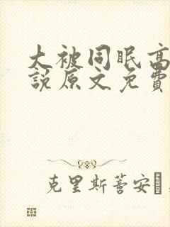 大被同眠高粱小说原文免费阅读