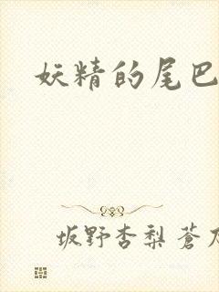 妖精的尾巴h