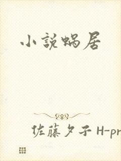 小说蜗居