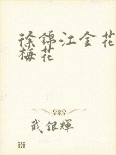 徐锦江金花瓶楷梅花封面