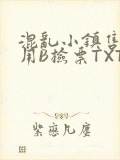 混乱小镇售票员用B检票TXT封面