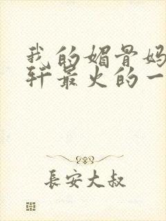 我的媚骨妈妈林轩最火的一句