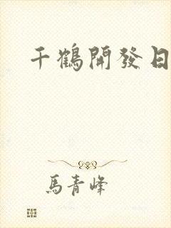 千鹤开发日记封面