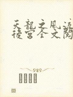 天龙之风流猎艳后宫全文阅读封面