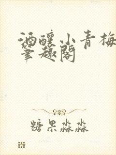 酒酿小青梅po笔趣阁