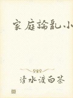 家庭论乱小说