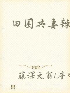 田园共妻辣