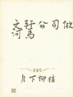 文轩公司做扩张河马