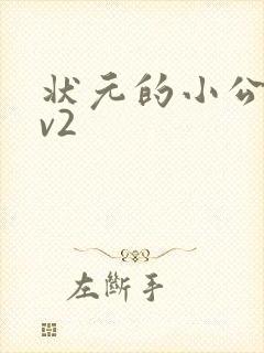 状元的小公主1v2封面