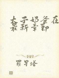 太子奶爸在花都最新章节封面