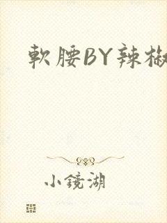 软腰BY辣椒椒封面