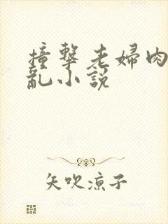 撞击老妇肉体之乱小说