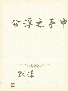 公浮之手中字5封面