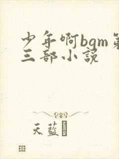 少年啊bgm第三部小说