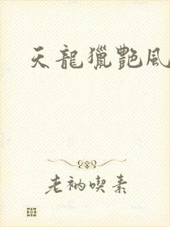 天龙猎艳风流