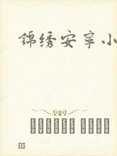 锦绣安宁小说封面