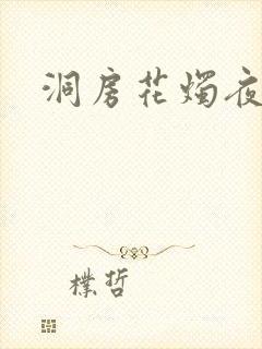洞房花烛夜小说
