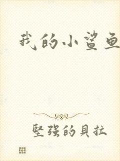我的小鲨鱼