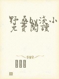 野桑by浅小说免费阅读封面