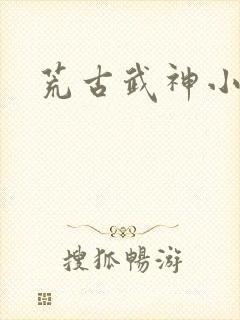 荒古武神小说