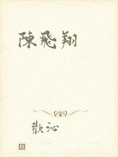 陈飞翔封面