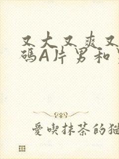 又大又爽又黄无码A片男和男