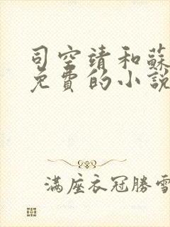 司空靖和苏月汐免费的小说笔趣阁