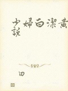 少妇白洁黄色小说