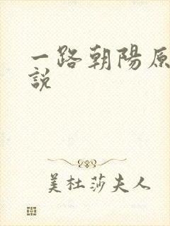 一路朝阳原著小说