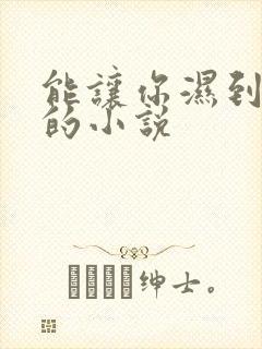 能让你湿到不行的小说