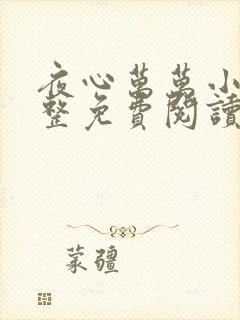 夜心万万小说完整免费阅读全文