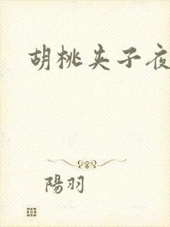 胡桃夹子夜未眠封面