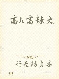 高h高辣文