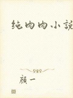 纯肉肉小说