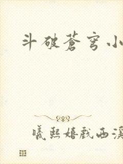 斗破苍穹小说