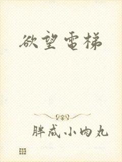欲望电梯封面