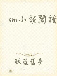 sm小说阅读